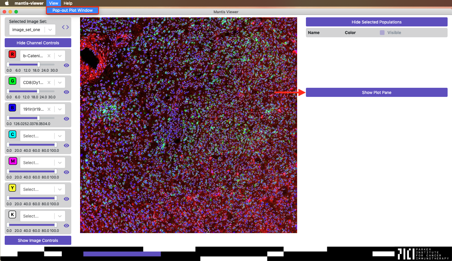 Opening the Plot View